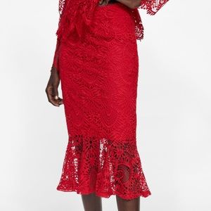 NWT • Zara • Guipure Lace Skirt